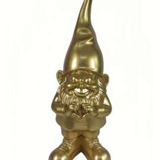 Kabouter met Hart Goud